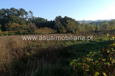 Helårsgrund i Amares, Braga, Amares - € 180.000 | Ref: 180655 - foto 6