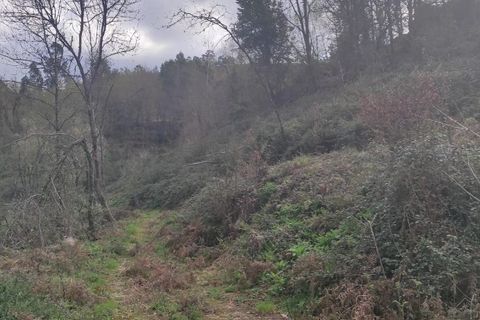 Helårsgrund i Terras de Bouro, Braga, Terras de Bouro - € 30.000 | Ref: 211284 - foto 5