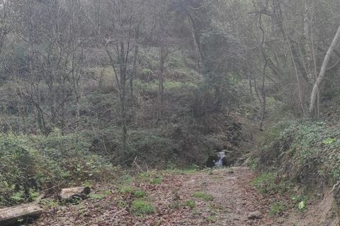 Helårsgrund i Terras de Bouro, Braga, Terras de Bouro - € 30.000 | Ref: 211284 - foto 6