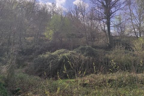 Helårsgrund i Terras de Bouro, Braga, Terras de Bouro - € 30.000 | Ref: 211284 - foto 7