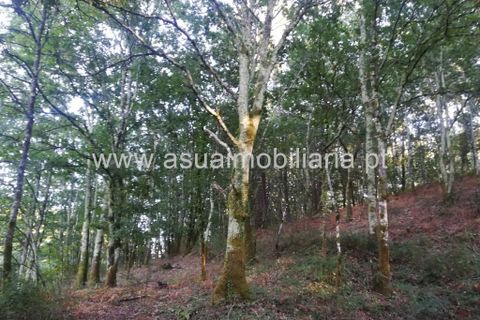 Helårsgrund i Amares, Braga, Amares - € 104.000 | Ref: 180601 - foto 3