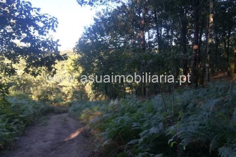 Helårsgrund i Amares, Braga, Amares - € 104.000 | Ref: 180601 - foto 4