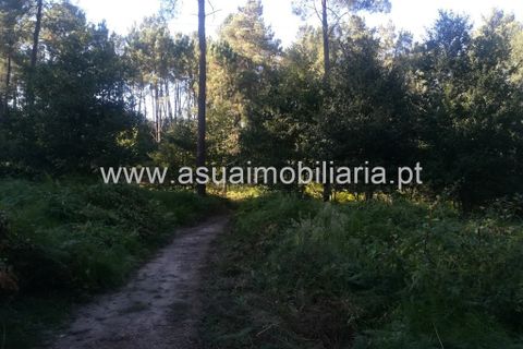 Helårsgrund i Amares, Braga, Amares - € 104.000 | Ref: 180601 - foto 5