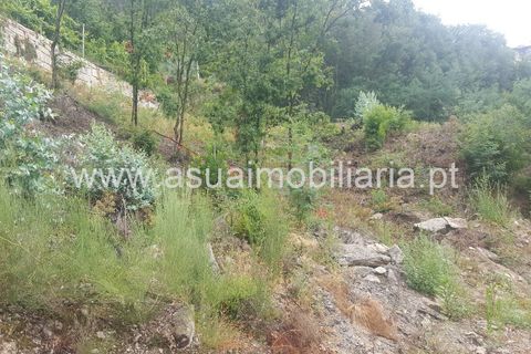 Tomt i Terras de Bouro, Braga, Terras de Bouro - € 185 000 | Ref: 170173 - foto 2