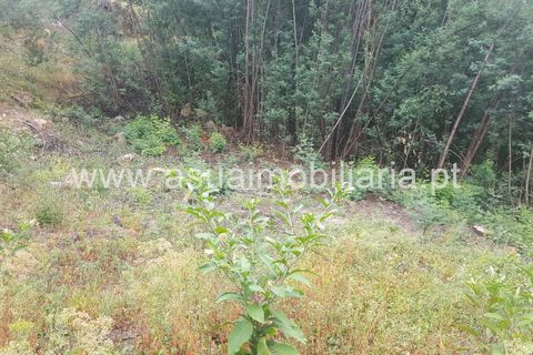 Tomt i Terras de Bouro, Braga, Terras de Bouro - € 185 000 | Ref: 170173 - foto 3