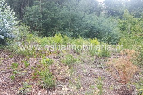 Tomt i Terras de Bouro, Braga, Terras de Bouro - € 185 000 | Ref: 170173 - foto 4
