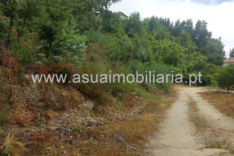 Tomt i Terras de Bouro, Braga, Terras de Bouro - € 185 000 | Ref: 170173 - foto 5