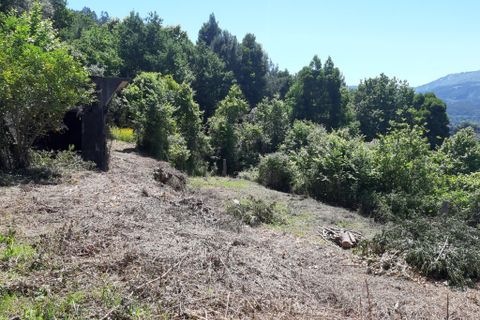 Helårsgrund i Amares, Braga, Amares - € 60.000 | Ref: 180360 - foto 10