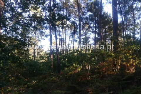 Helårsgrund i Amares, Braga, Amares - € 69.000 | Ref: 180599 - foto 3