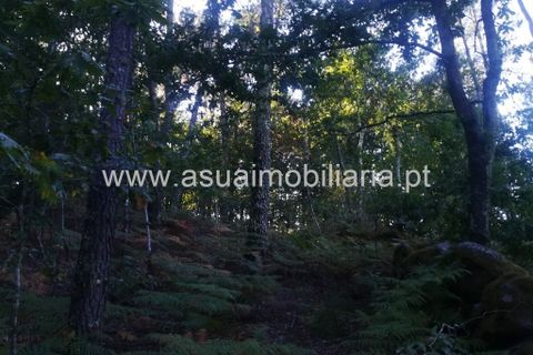 Helårsgrund i Amares, Braga, Amares - € 69.000 | Ref: 180599 - foto 4