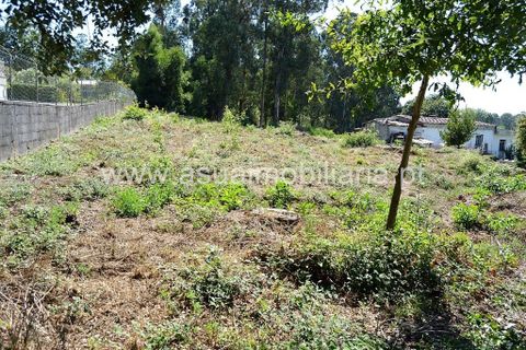 Helårsgrund i Amares, Braga, Amares - € 97.500 | Ref: 191012 - foto 5