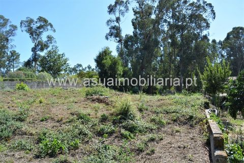 Helårsgrund i Amares, Braga, Amares - € 97.500 | Ref: 191012 - foto 6