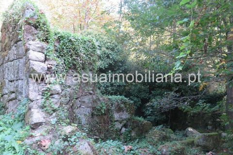 Helårsgrund i Amares, Braga, Amares - € 42.500 | Ref: 170245 - foto 9