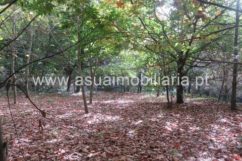 Helårsgrund i Amares, Braga, Amares - € 42.500 | Ref: 170245 - foto 2