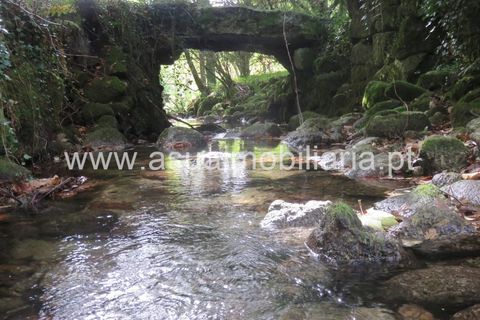 Helårsgrund i Amares, Braga, Amares - € 42.500 | Ref: 170245 - foto 3