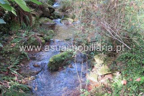 Helårsgrund i Amares, Braga, Amares - € 42.500 | Ref: 170245 - foto 7