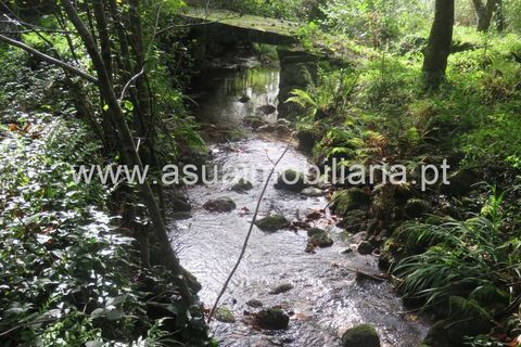 Helårsgrund i Amares, Braga, Amares - € 42.500 | Ref: 170245 - foto 5