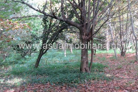 Helårsgrund i Amares, Braga, Amares - € 42.500 | Ref: 170245 - foto 8