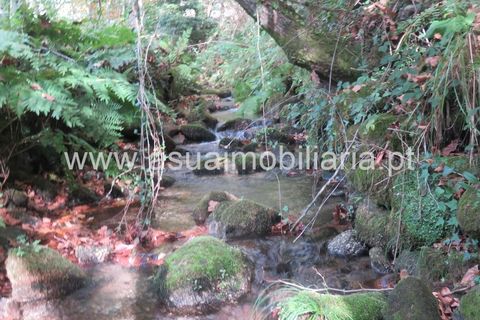 Helårsgrund i Amares, Braga, Amares - € 42.500 | Ref: 170245 - foto 10