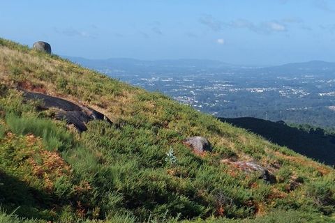 Helårsgrund i Amares, Braga, Amares - € 27.500 | Ref: 201073 - foto 10