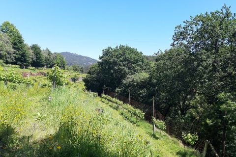 Helårsgrund i Amares, Braga, Amares - € 179.000 | Ref: 170098 - foto 10