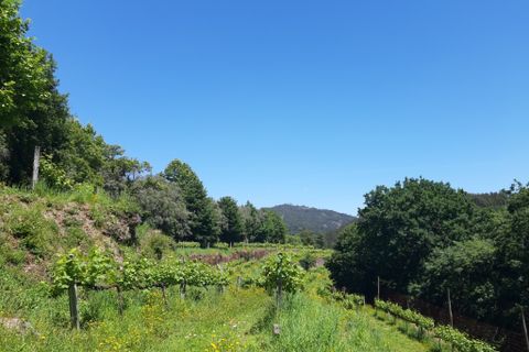 Helårsgrund i Amares, Braga, Amares - € 179.000 | Ref: 170098 - foto 11