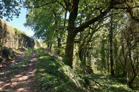 Helårsgrund i Amares, Braga, Amares - € 179.000 | Ref: 170098 - foto 12
