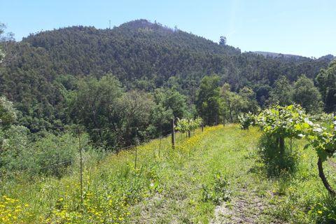 Helårsgrund i Amares, Braga, Amares - € 179.000 | Ref: 170098 - foto 15
