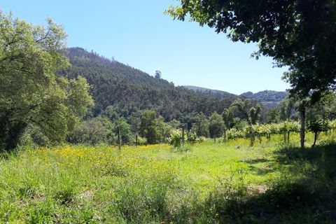 Helårsgrund i Amares, Braga, Amares - € 179.000 | Ref: 170098 - foto 17