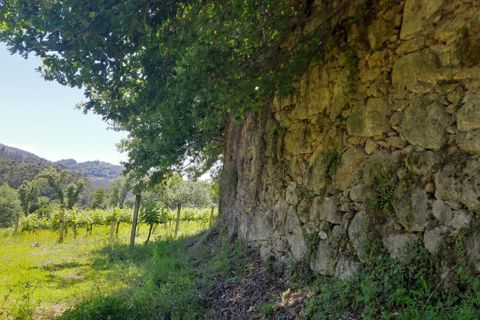 Helårsgrund i Amares, Braga, Amares - € 179.000 | Ref: 170098 - foto 18