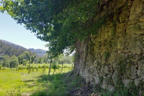 Helårsgrund i Amares, Braga, Amares - € 179.000 | Ref: 170098 - foto 19