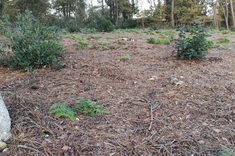 Helårsgrund i Amares, Braga, Amares - € 16.500 | Ref: 201247 - foto 6