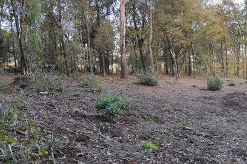 Helårsgrund i Amares, Braga, Amares - € 16.500 | Ref: 201247 - foto 7