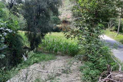 Helårsgrund i Terras de Bouro, Braga, Terras de Bouro - € 10.500 | Ref: 180416 - foto 6