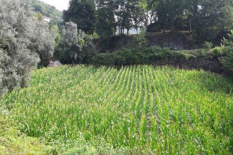 Helårsgrund i Terras de Bouro, Braga, Terras de Bouro - € 10.500 | Ref: 180416 - foto 8