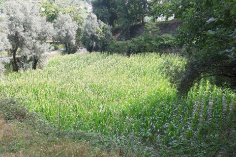 Helårsgrund i Terras de Bouro, Braga, Terras de Bouro - € 10.500 | Ref: 180416 - foto 9