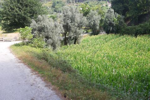 Helårsgrund i Terras de Bouro, Braga, Terras de Bouro - € 10.500 | Ref: 180416 - foto 10