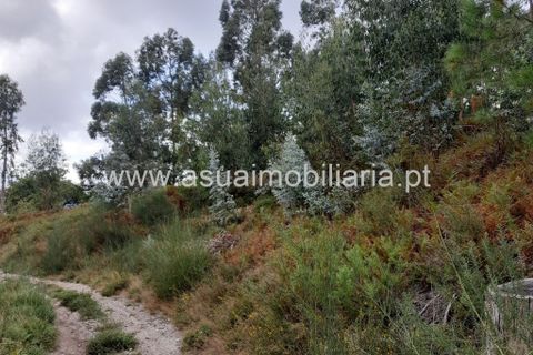 Helårsgrund i Amares, Braga, Amares - € 70.000 | Ref: 191000 - foto 3