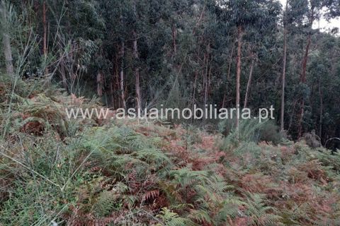 Helårsgrund i Amares, Braga, Amares - € 70.000 | Ref: 191000 - foto 4