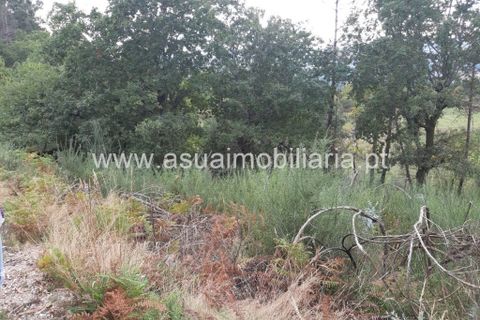 Helårsgrund i Amares, Braga, Amares - € 70.000 | Ref: 191000 - foto 8