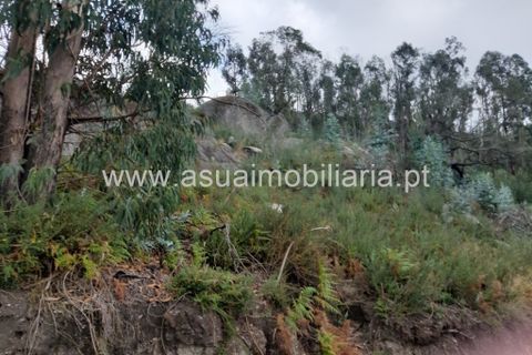 Helårsgrund i Amares, Braga, Amares - € 70.000 | Ref: 191000 - foto 9