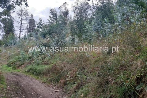Helårsgrund i Amares, Braga, Amares - € 70.000 | Ref: 191000 - foto 10