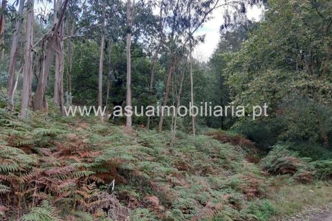Helårsgrund i Amares, Braga, Amares - € 70.000 | Ref: 191000 - foto 11