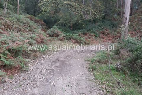 Helårsgrund i Amares, Braga, Amares - € 70.000 | Ref: 191000 - foto 12