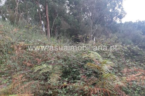 Helårsgrund i Amares, Braga, Amares - € 70.000 | Ref: 191000 - foto 13