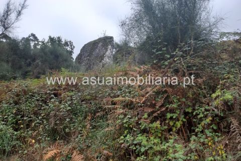 Helårsgrund i Amares, Braga, Amares - € 70.000 | Ref: 191000 - foto 14