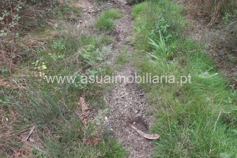 Helårsgrund i Amares, Braga, Amares - € 70.000 | Ref: 191000 - foto 15