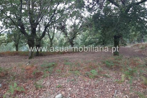 Helårsgrund i Amares, Braga, Amares - € 70.000 | Ref: 191000 - foto 17