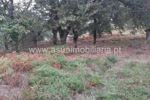 Helårsgrund i Amares, Braga, Amares - € 70.000 | Ref: 191000 - foto 18