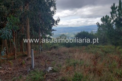 Helårsgrund i Amares, Braga, Amares - € 70.000 | Ref: 191000 - foto 19